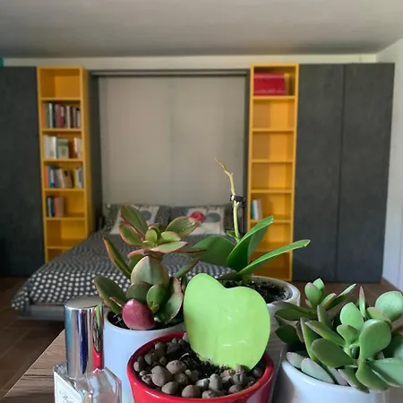 Апартаменты Con Giardino