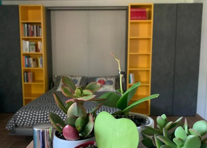 Apartamento Con Giardino